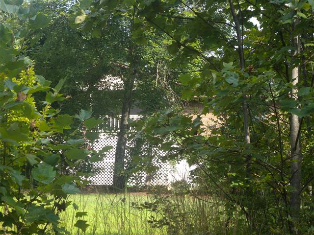 A picture of the property located at 21 WHITAKER CIR, FAIRVIEW NC 28730.