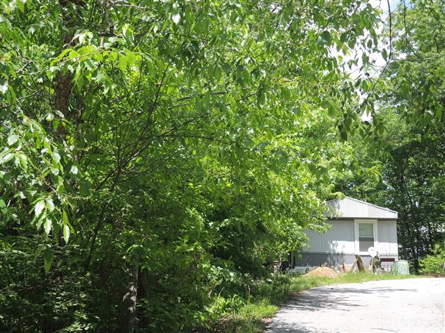 A picture of the property located at 45 HEAVENLY LN, FAIRVIEW NC 28730.