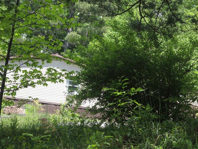 A picture of the property located at 32 HEAVENLY LN, FAIRVIEW NC 28730.