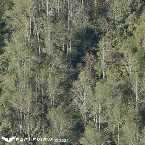 A picture of the property located at 129 QUIET WOODS DR, LEICESTER NC 28748.