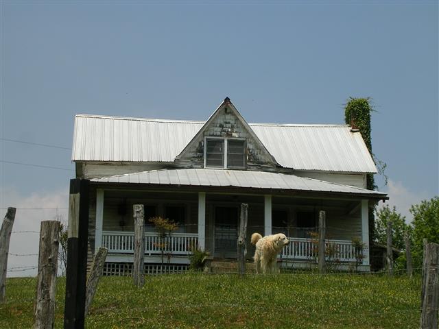 A picture of the property located at 17 WILL SMITH LN, LEICESTER NC 28748.