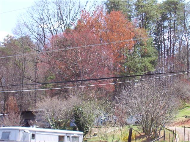 A picture of the property located at 10 AMAZING GRACE LN, ASHEVILLE NC 28804.