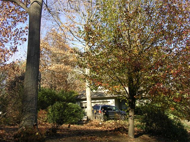 A picture of the property located at 30 ROBIN LN, ASHEVILLE NC 28806.