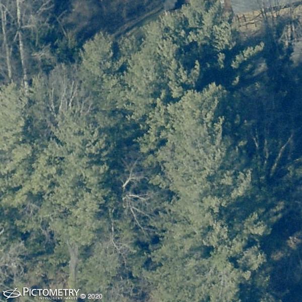 A picture of the property located at 4 HIDDEN CABINS LN, ASHEVILLE NC 28804.