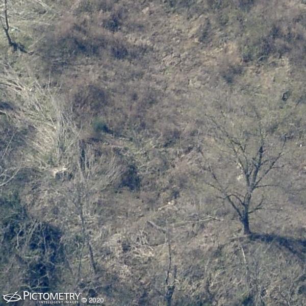 A picture of the property located at 140 BAIRD COVE LN, ASHEVILLE NC 28804.