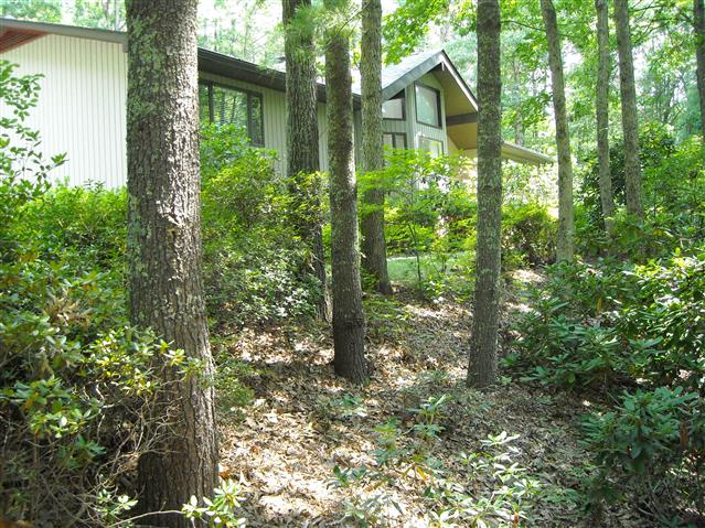 A picture of the property located at 12 HICKORY LN, ASHEVILLE NC 28804.