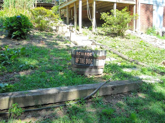 A picture of the property located at 170 AIKEN RD, ASHEVILLE NC 28804.
