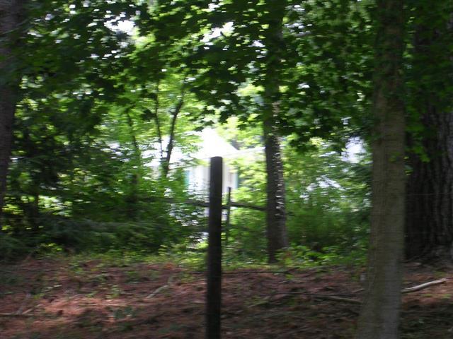 A picture of the property located at 19 BAIRD LN, ASHEVILLE NC 28804.