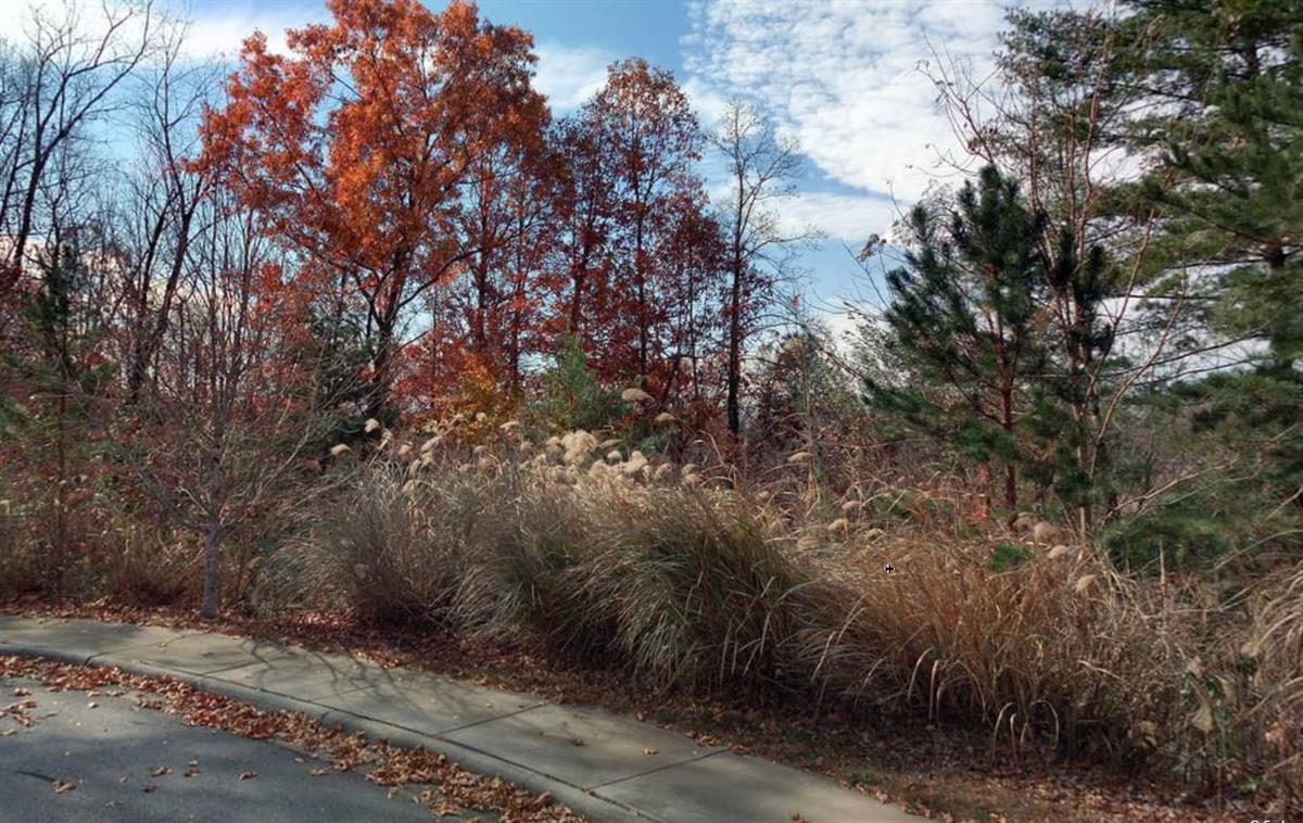 A picture of the property located at 21 EVIAN CT, ASHEVILLE NC 28804.