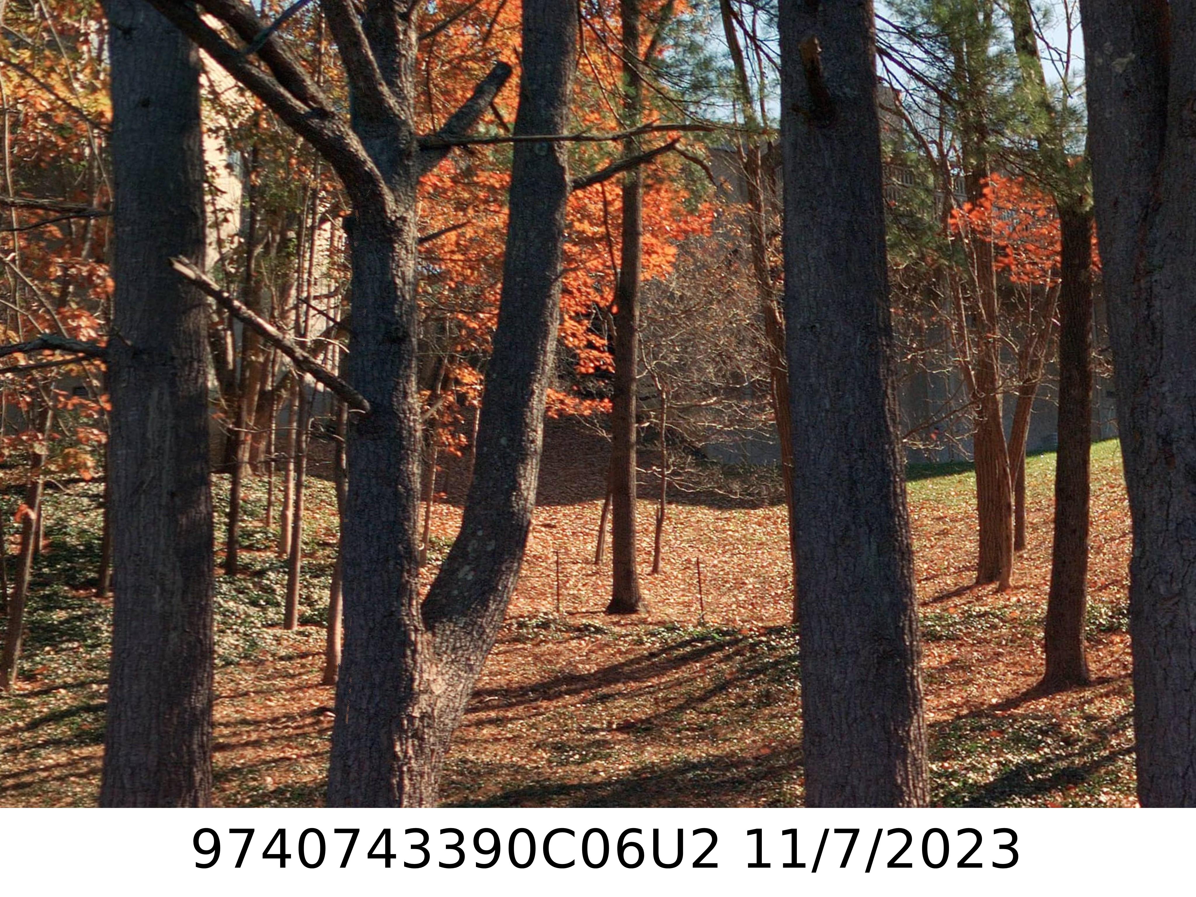 A picture of the property located at 602 TIMBER LN, ASHEVILLE NC 28804.