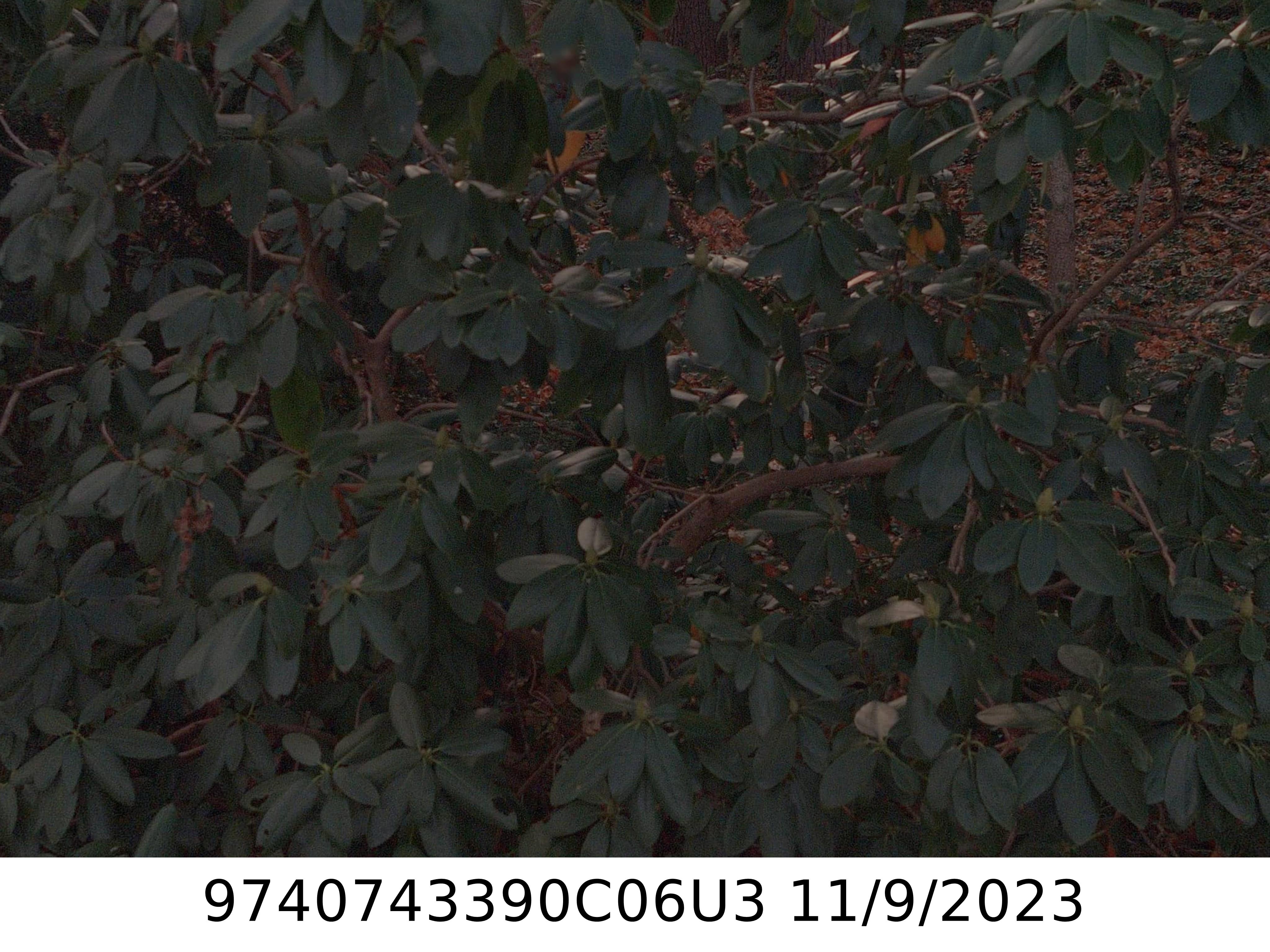 A picture of the property located at 603 TIMBER LN, ASHEVILLE NC 28804.