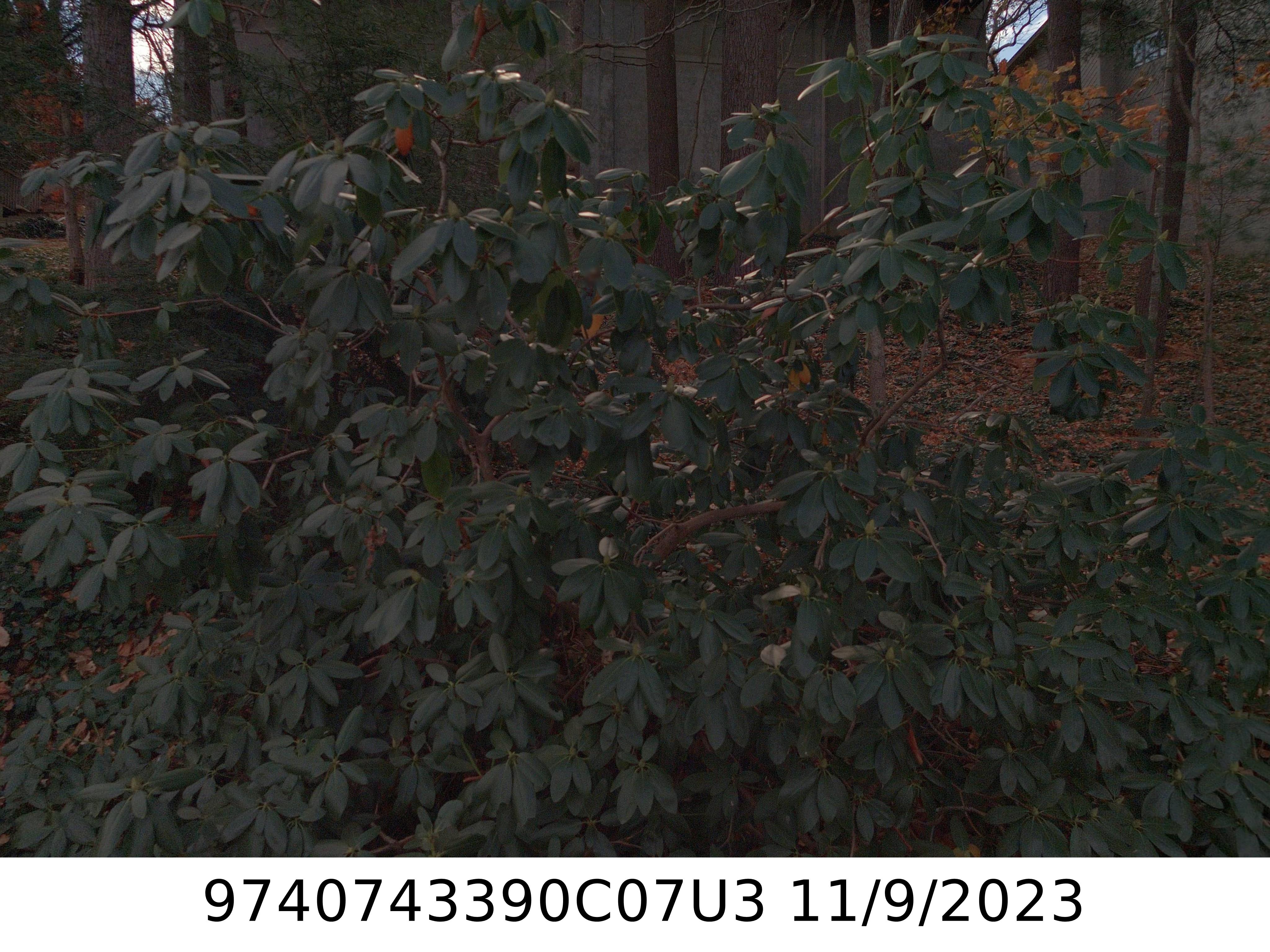 A picture of the property located at 703 TIMBER LN, ASHEVILLE NC 28804.