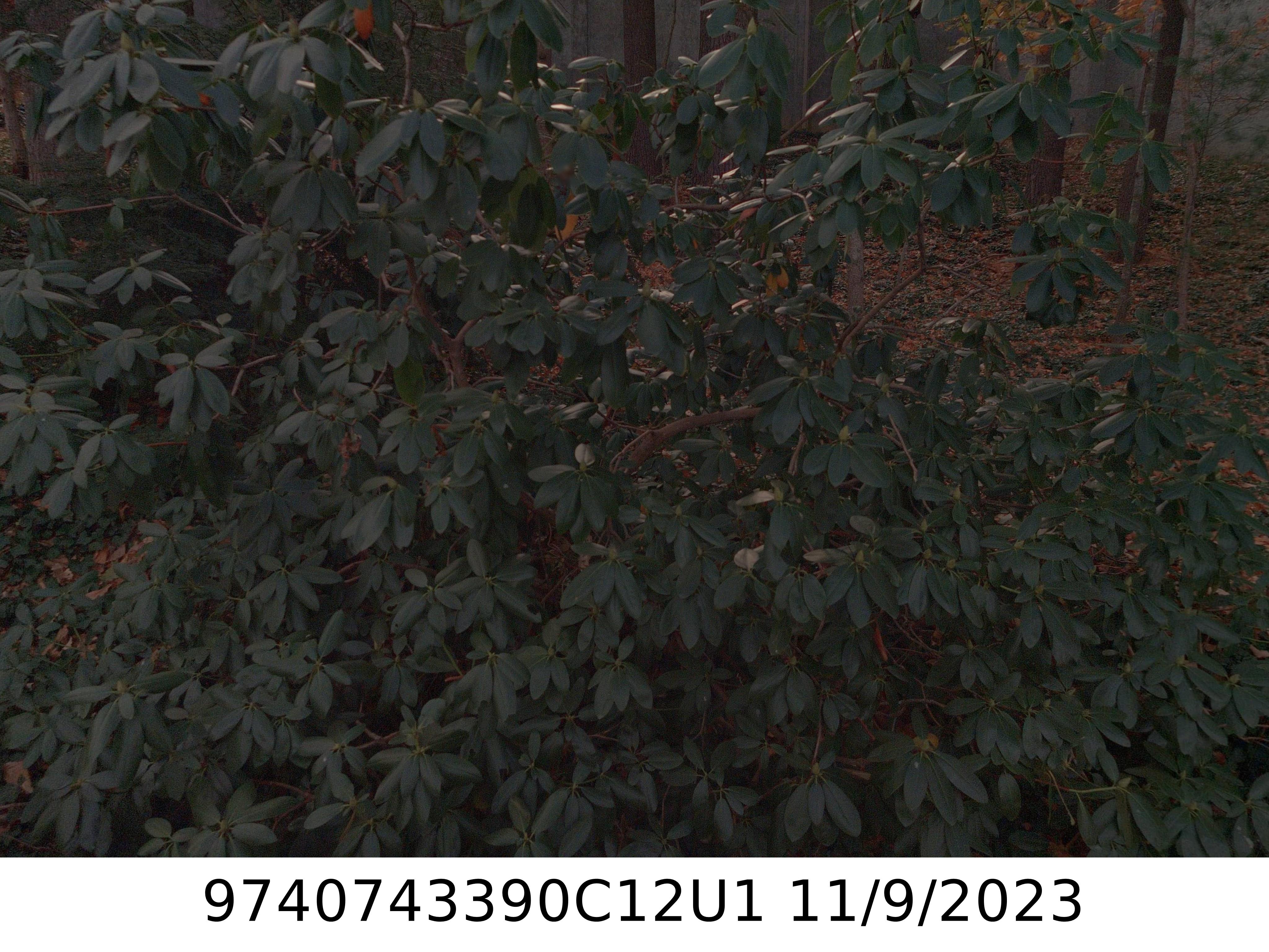 A picture of the property located at 1201 TIMBER TRL, ASHEVILLE NC 28804.