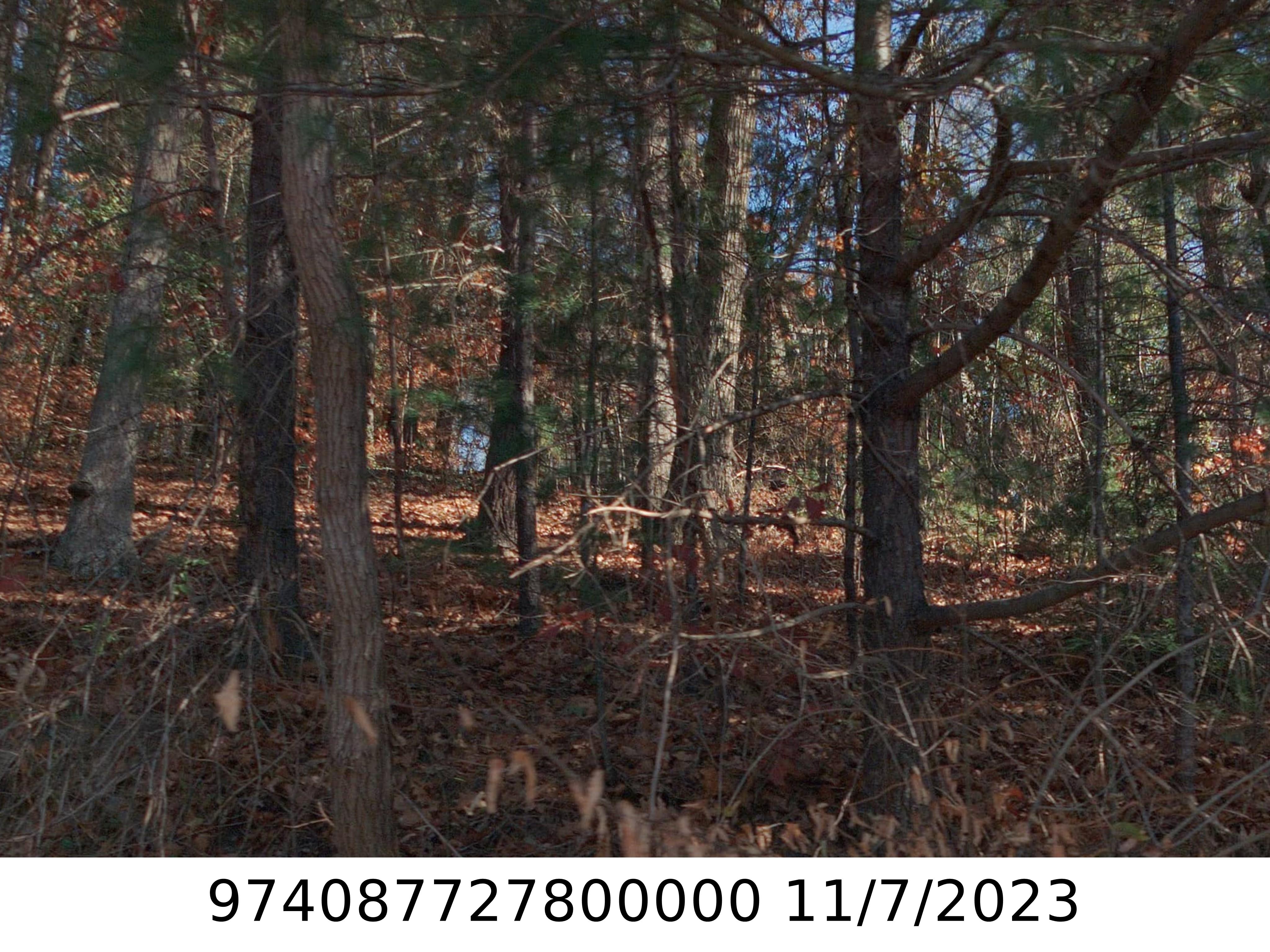 A picture of the property located at 339 BEAVERDAM RD, ASHEVILLE NC 28804.