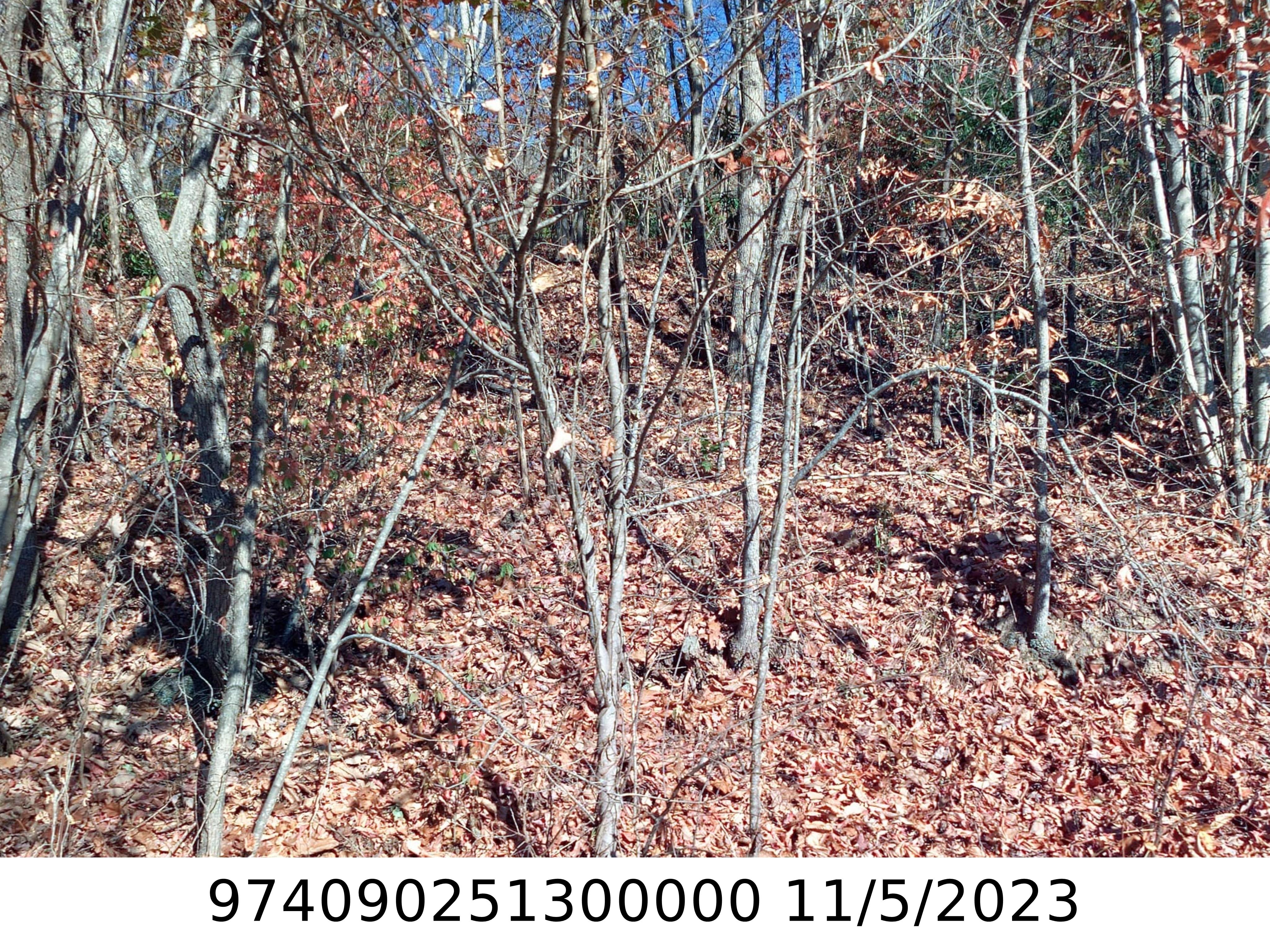 A picture of the property located at 6 SUNSET LN, ASHEVILLE NC 28804.