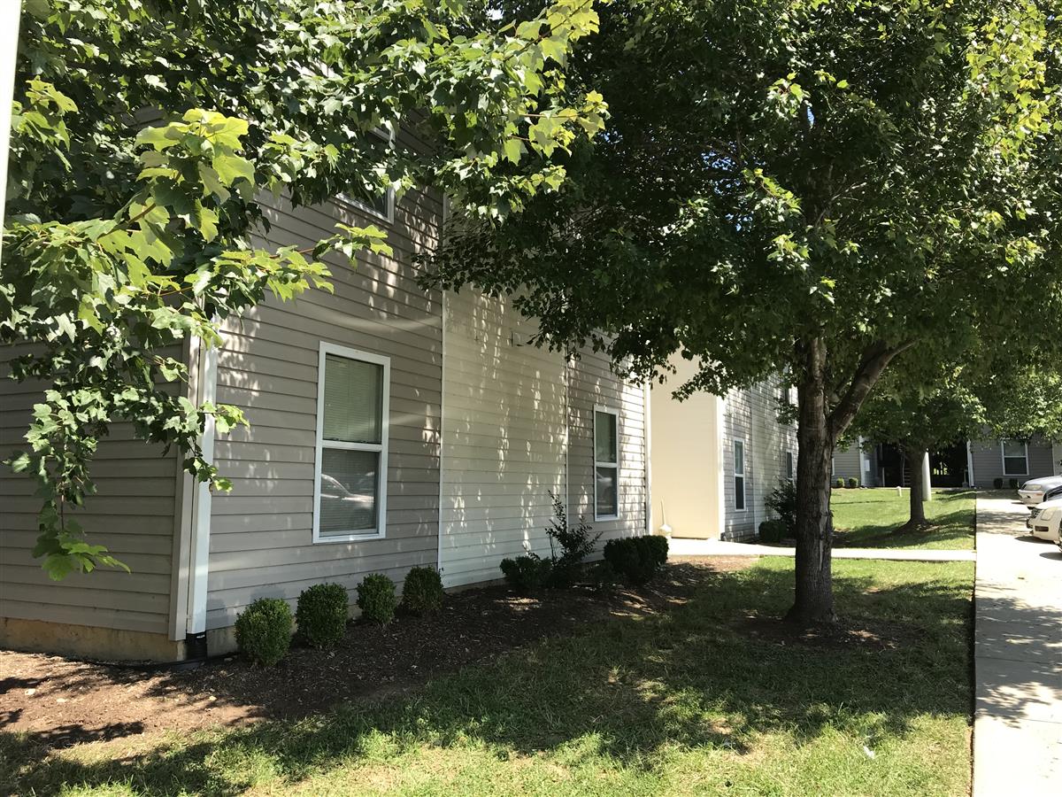 A picture of the property located at 19 ZELL LN, WEAVERVILLE NC 28787.