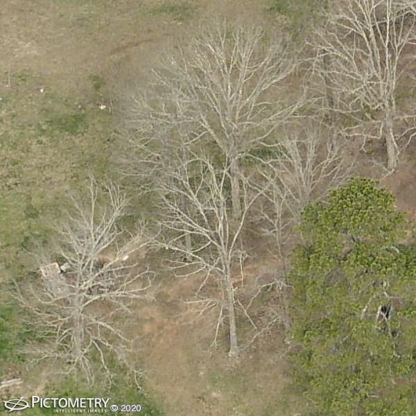 A picture of the property located at 70 CORGI LN, WEAVERVILLE NC 28787.