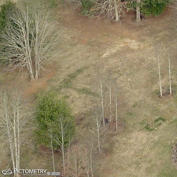 A picture of the property located at 20 WILLIE LN, WEAVERVILLE NC 28787.
