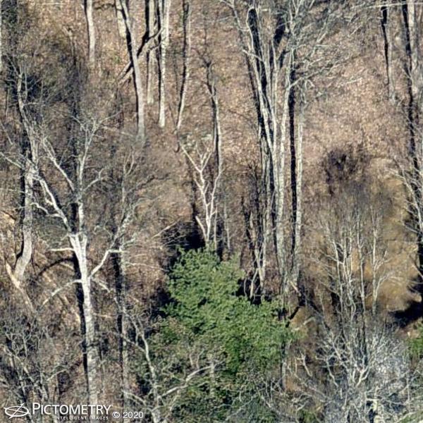 A picture of the property located at 222 COOK COVE RD, WEAVERVILLE NC 28787.